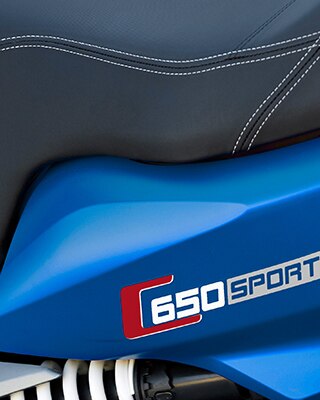 Детали C 650 Sport